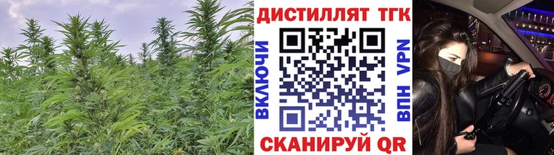 Купить закладки  Черепаново  ТГК концентрат 