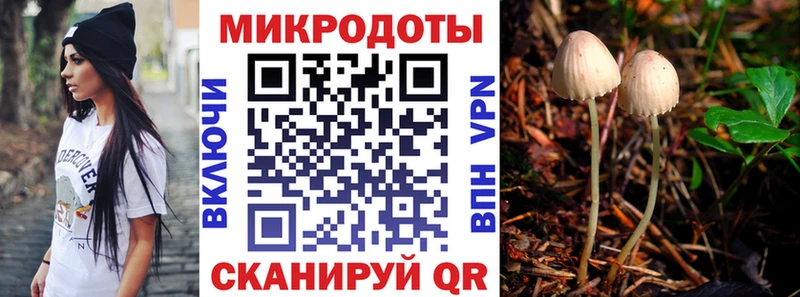 Галлюциногенные грибы мицелий  Купить где  Черепаново 